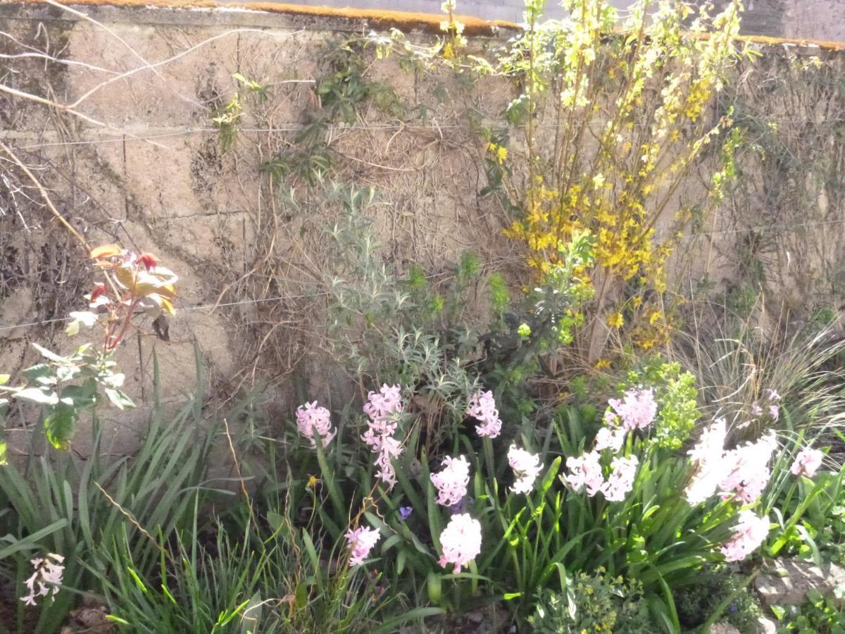 La Maison Des Fleurs Montembœuf Εξωτερικό φωτογραφία